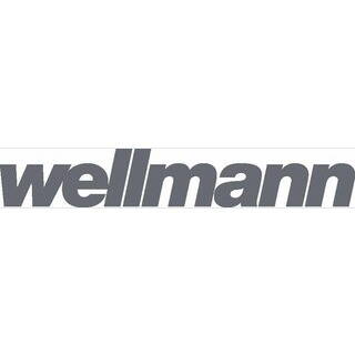 Graues „wellmann“-Schriftzuglogo in kursiver Kleinbuchstaben-Typografie auf weißem Hintergrund