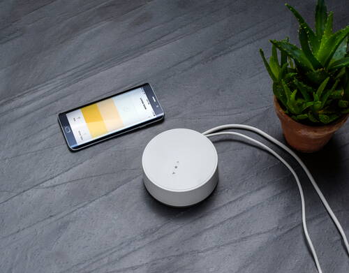 Smartphone mit geöffneter Lichtsteuerungs-App neben rundem Smart-Home-Gerät und kleinem Blumentopf auf dunkler Steinoberfläche