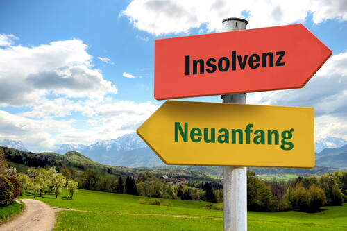 Wegweiser mit den entgegengesetzten Richtungen „Insolvenz“ und „Neuanfang“ vor einer grünen Landschaft mit Bergen im Hintergrund