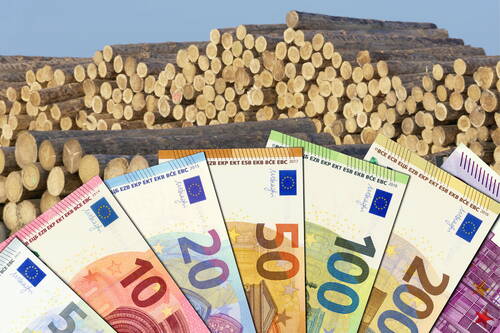 Gestapelte Holzstämme im Hintergrund mit fächerförmig ausgebreiteten Euro-Banknoten im Vordergrund als Symbol für den wirtschaftlichen Wert von Holz.