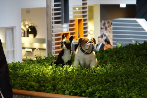 Zwei realistisch wirkende Hundefiguren, ein Boston Terrier und eine Bulldogge, sitzen auf einem dichten Teppich aus grünen Farnen in einem modern eingerichteten Innenraum.