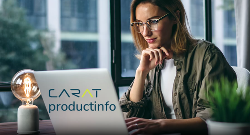 Junge Frau mit Brille arbeitet konzentriert an einem Laptop mit dem Schriftzug „CARAT productinfo“ auf einem Schreibtisch mit beleuchteter Glühbirne und Zimmerpflanze vor einem großen Fenster.